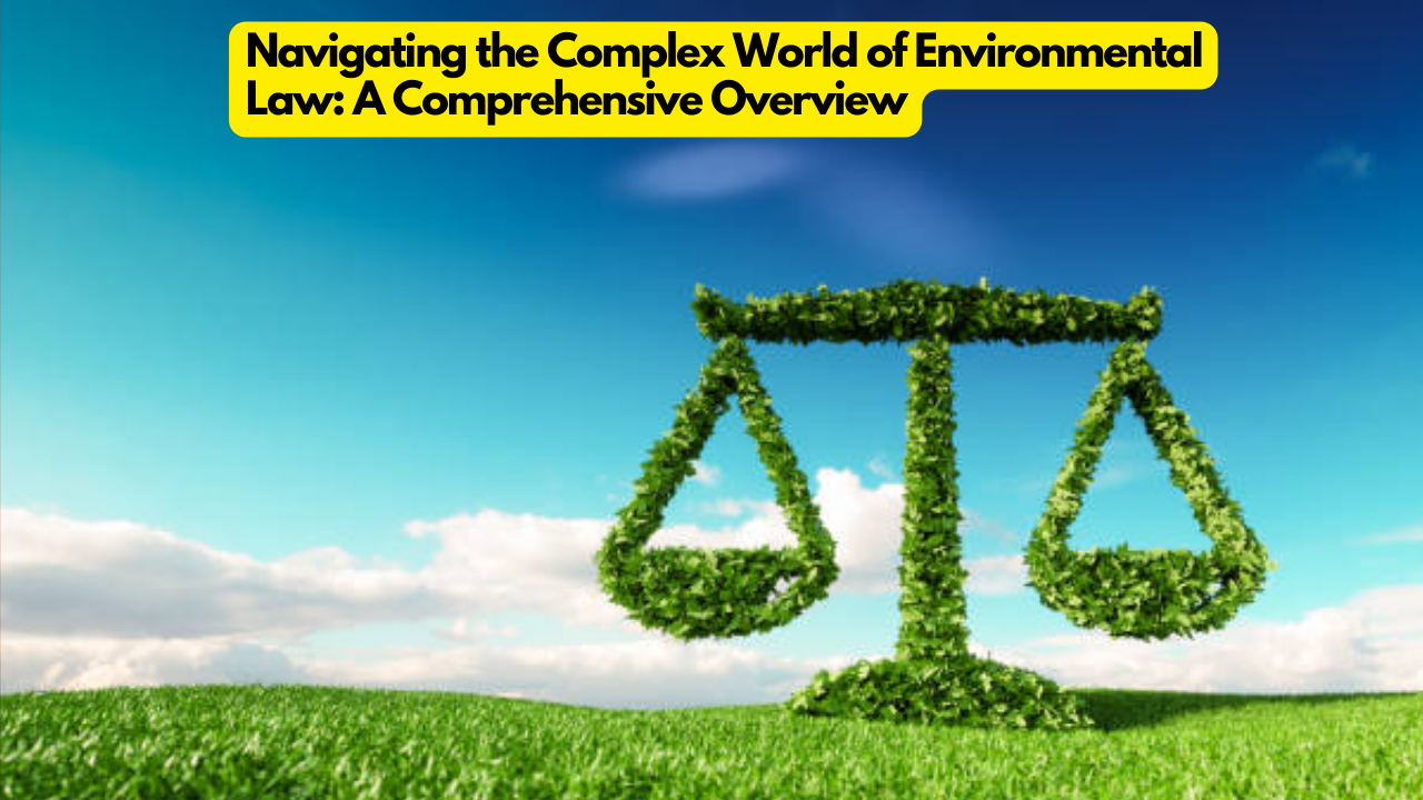 Navigating the Complex World of Environmental Law: A Comprehensive Overview